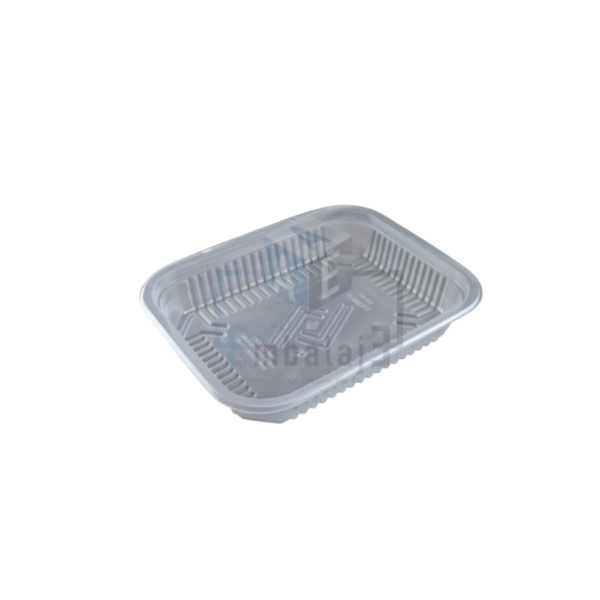 DESCARTABLE DE PLÁSTICO TRANSPARENTE FUENTE PB2