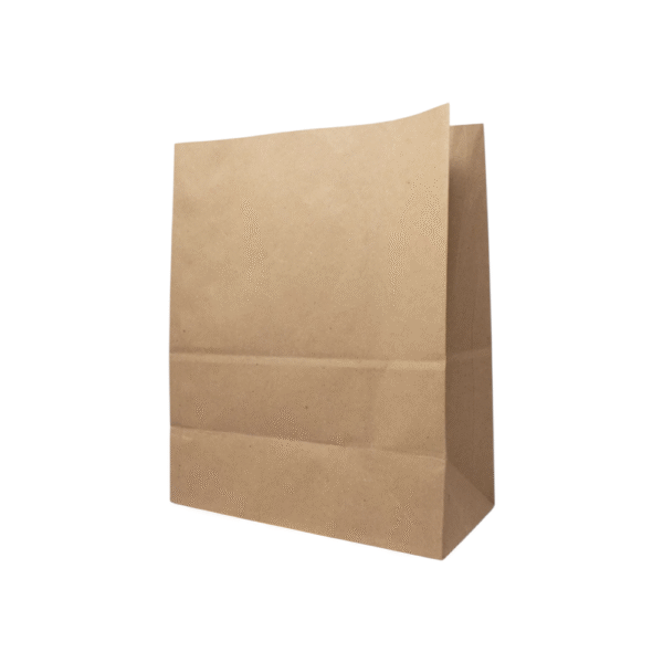 BOLSAS CRAFT #20 (100 UND)