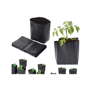 BOLSAS PARA AGRICULTURA ALMACIGO 10 x 15